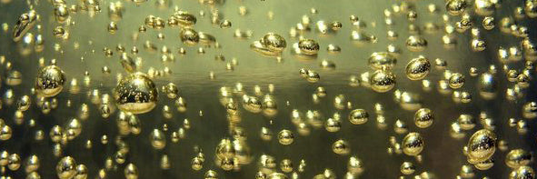 Champagne maken: ingrediënten